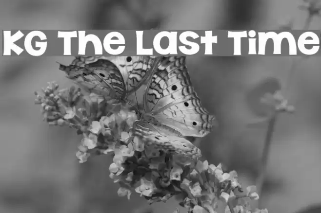 KG The Last Time Fonte examples