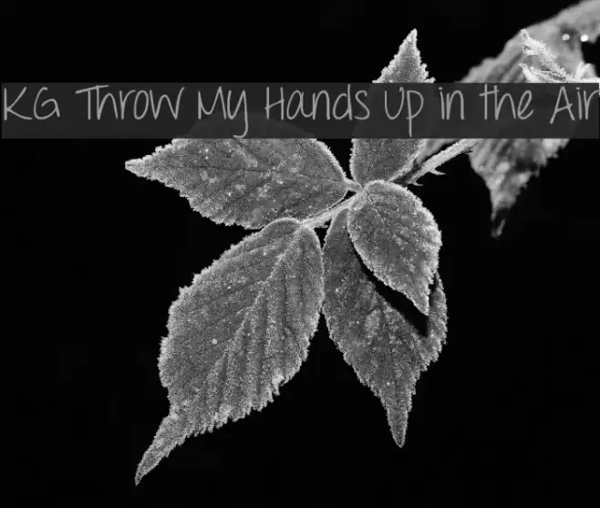KG Throw My Hands Up in the Air Font examples