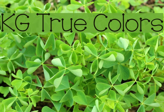 KG True Colors Font examples