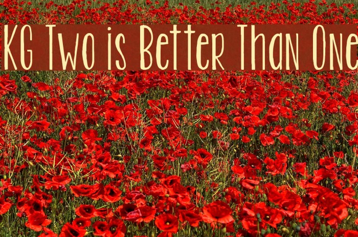 KG Two is Better Than One Font examples