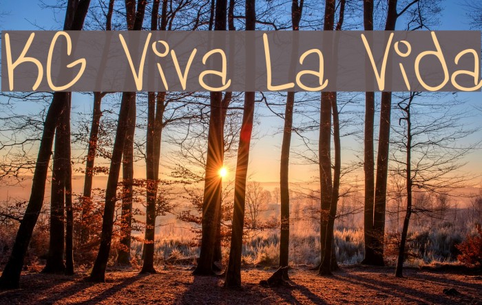 Kg Viva La Vida Font