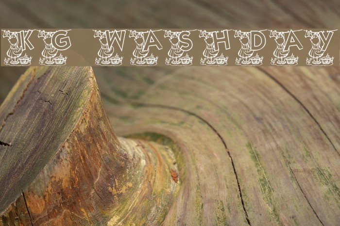 KG WASHDAY Example 3