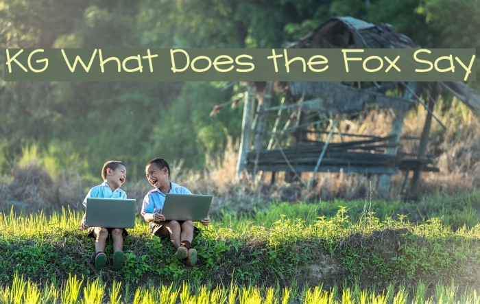 KG What Does the Fox Say Polices examples