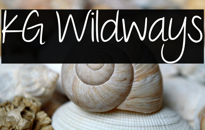 KG Wildways Example 1