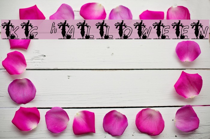 KG hALLOWEEN1 Example 1