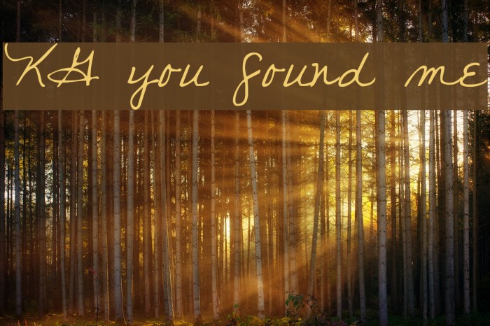 KG you found me Font examples