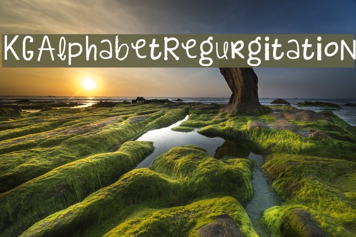 KGAlphabetRegurgitation Font examples