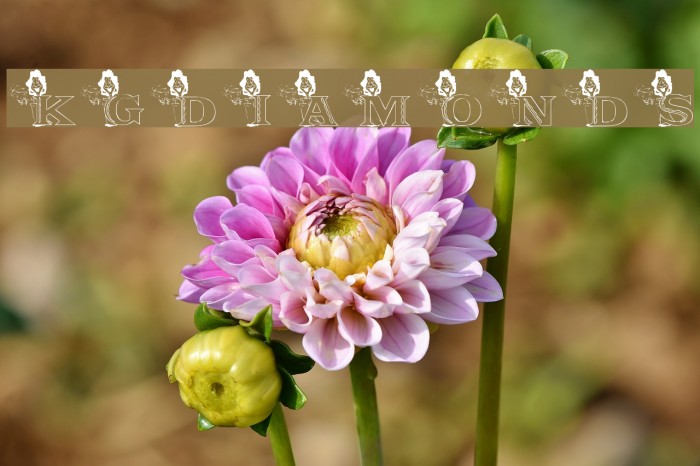 KGDIAMONDS Example 1