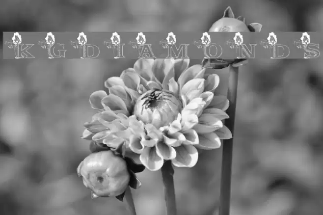 KGDIAMONDS Font examples