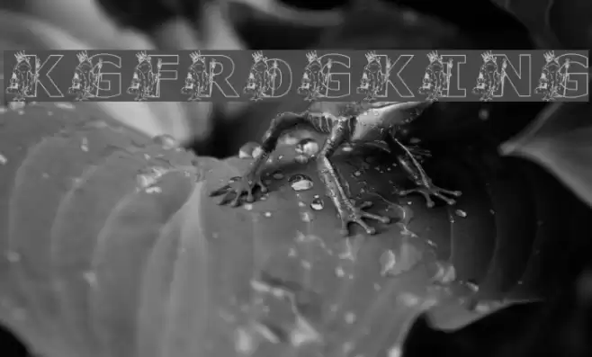 KGFROGKING Font examples