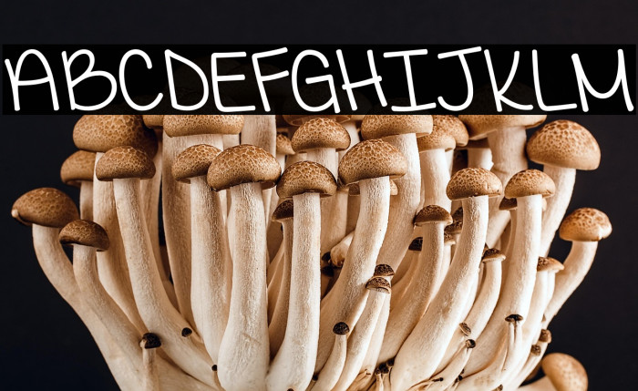 KGIWantCrazy Example 2