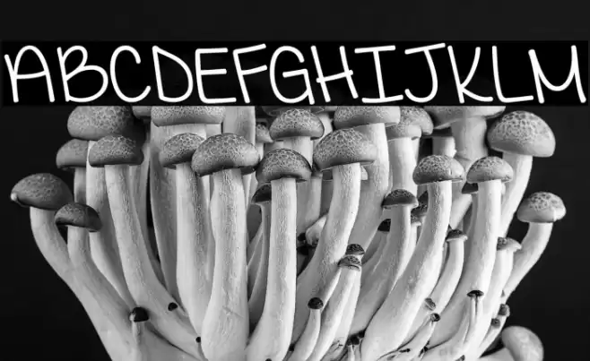 KGIWantCrazy Font examples