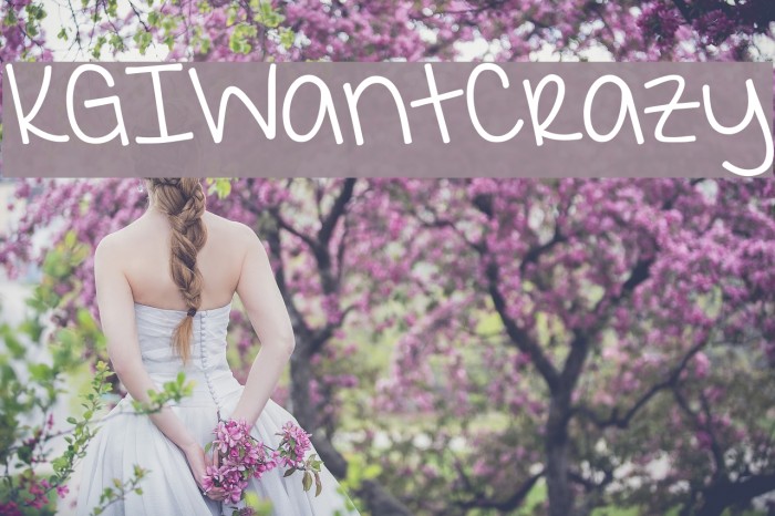 KGIWantCrazy Example 1