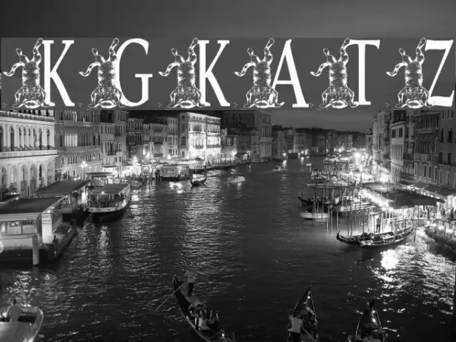 KGKATZ2 Polices examples