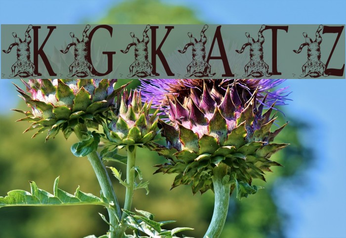 KGKATZ2 Font examples
