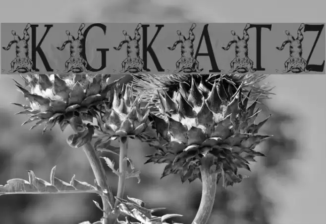 KGKATZ2 Polices examples