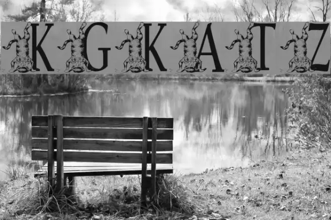 KGKATZ2 Polices examples