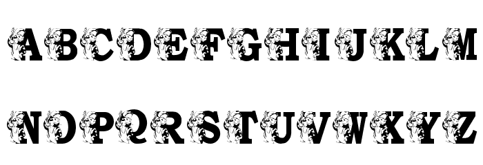 KGTIGERCOOK Font OTHER CHARS