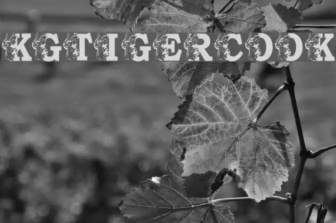 KGTIGERCOOK Font examples