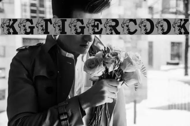 KGTIGERCOOK Font examples