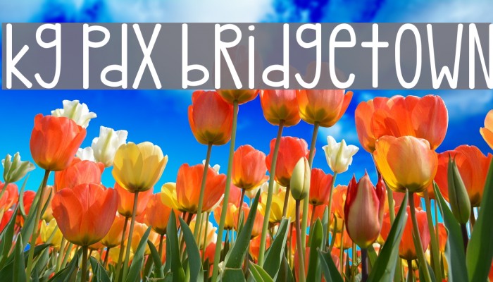 kg pdx bridgetown Font examples