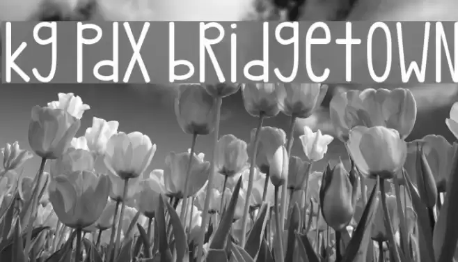 kg pdx bridgetown Font examples