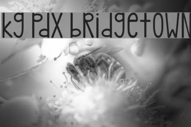 kg pdx bridgetown Font examples