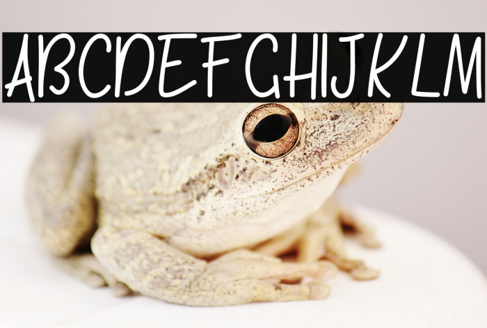 KH-Blackline-Script Medium Example 1