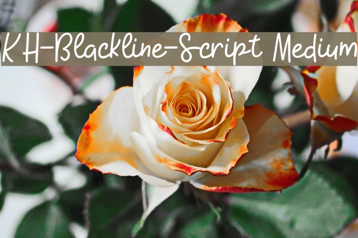KH-Blackline-Script Medium Font examples