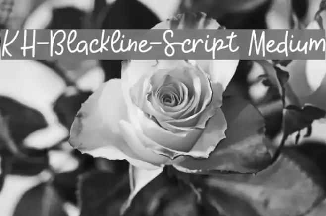 KH-Blackline-Script Medium Fuentes examples