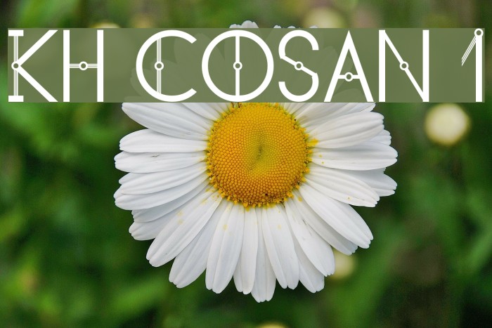 KH Cosan 1 Example 2