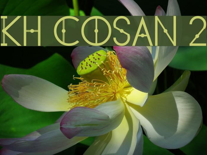 KH Cosan 2 Example 1