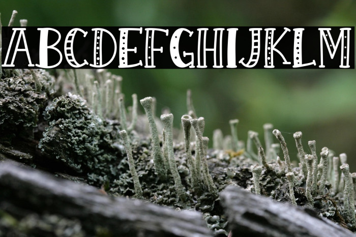 KH Prickles Demo Regular Example 2