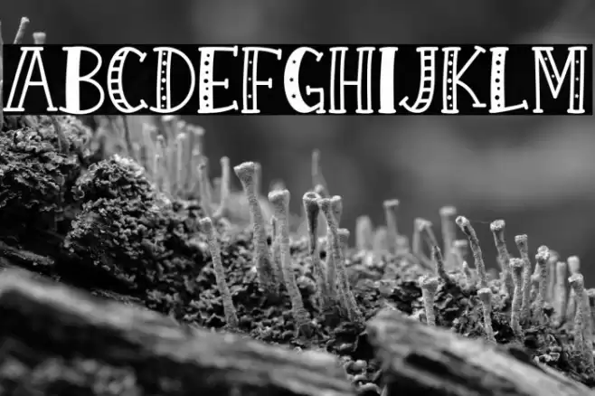 KH Prickles Demo Regular Font examples