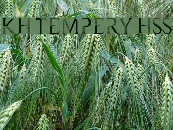 KH Tempery HSS Example 2