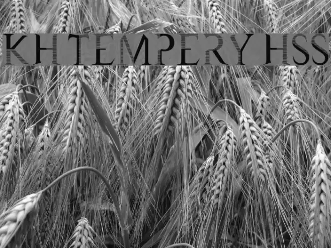 KH Tempery HSS Font examples