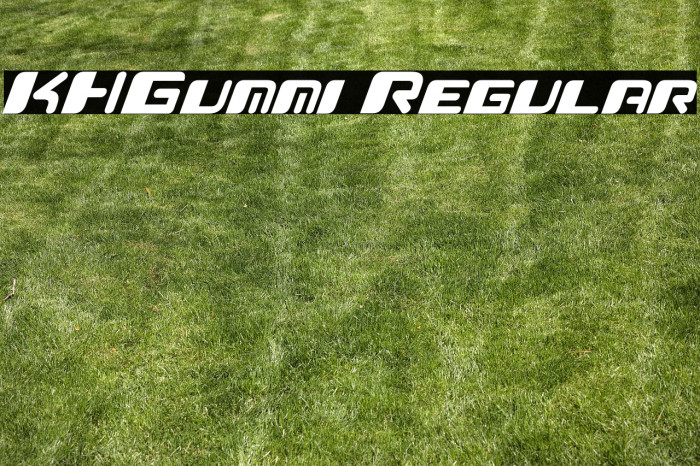 KHGummi Regular Example 2