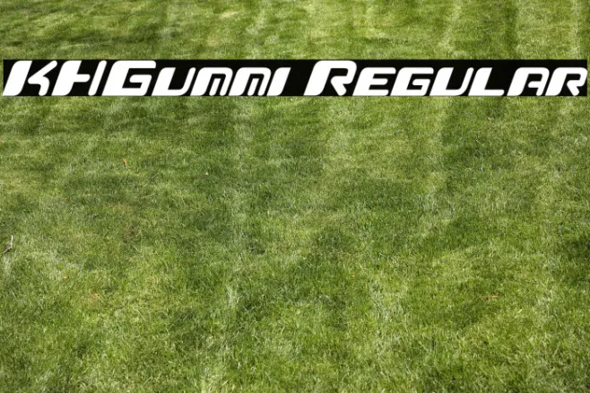 KHGummi Regular Example 2