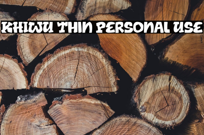 KHIWU Thin Personal Use Example 2