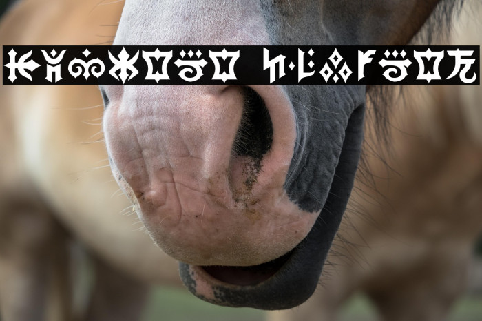 KHScala Regular Example 3