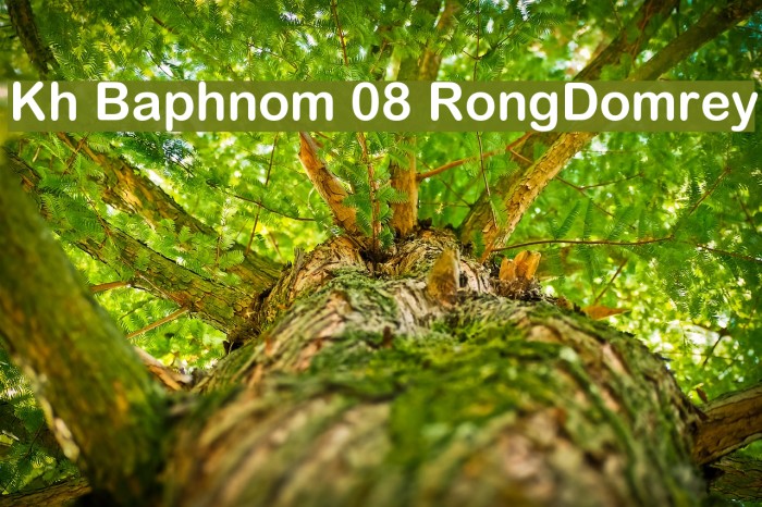 Kh Baphnom 08 RongDomrey Font examples