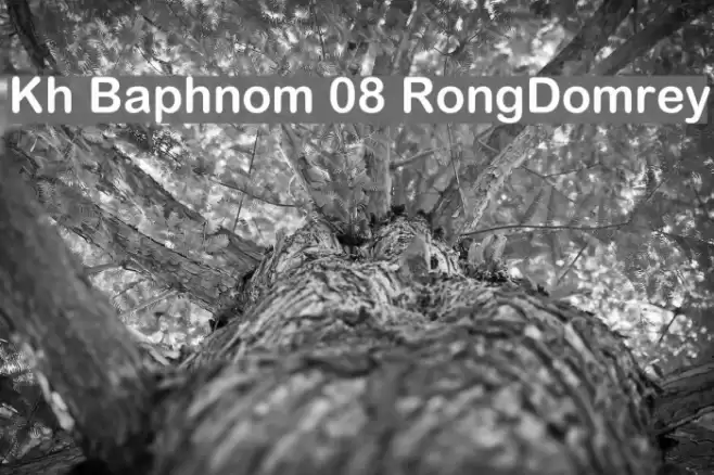 Kh Baphnom 08 RongDomrey  examples