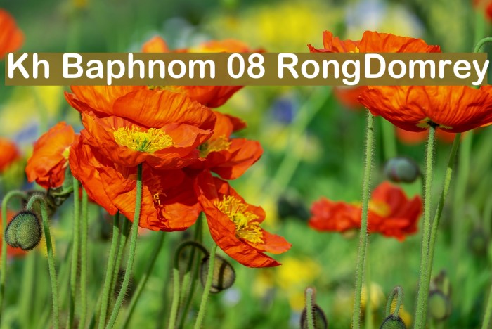 Kh Baphnom 08 RongDomrey Font examples