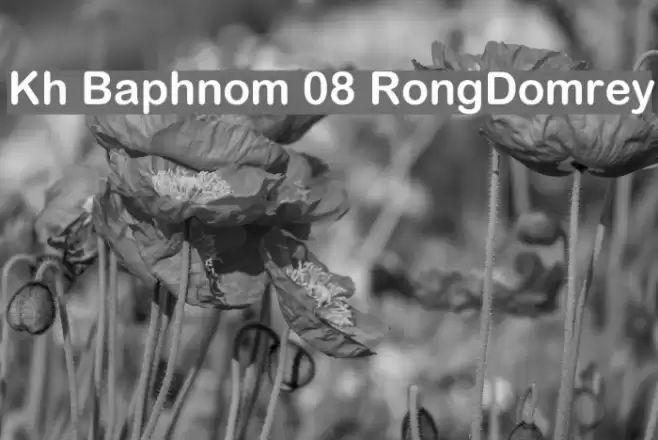 Kh Baphnom 08 RongDomrey  examples