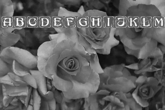 KhachaturianCaps Polices examples