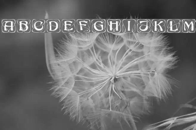 KhachaturianCaps Polices examples