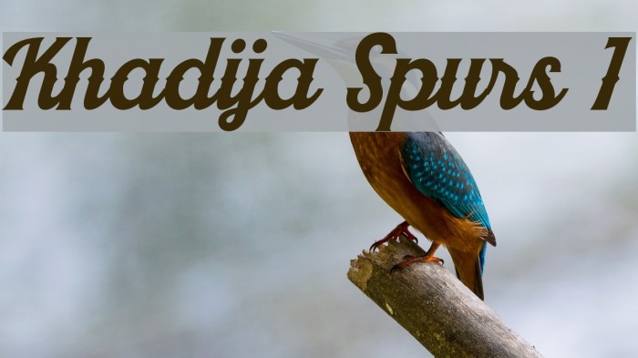 Khadija Spurs 1 Font examples