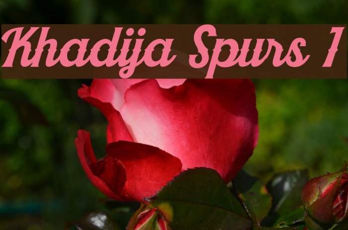 Khadija Spurs 1 Font examples