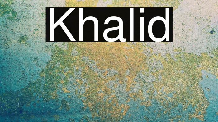 Khalid Example 2