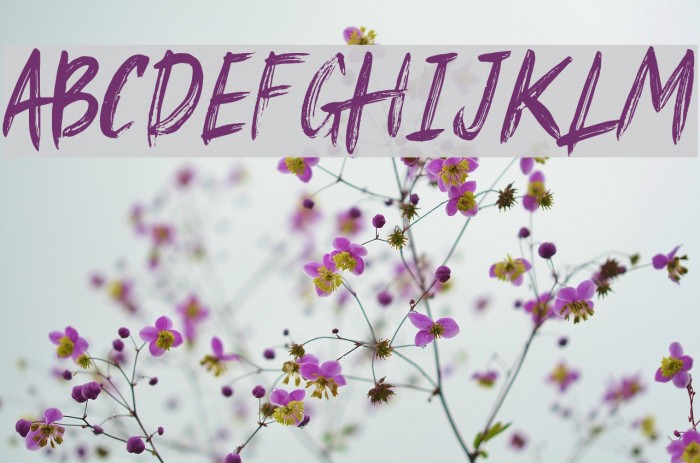 Khalif Irsyad Font examples